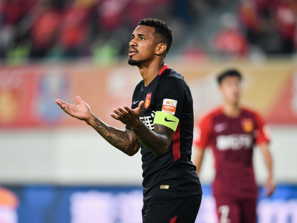 这为归化提 这为归化提